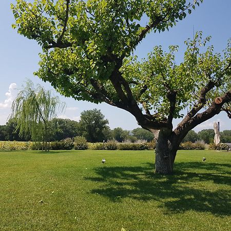 Agriturismo Villa Al Piano Todi Buitenkant foto