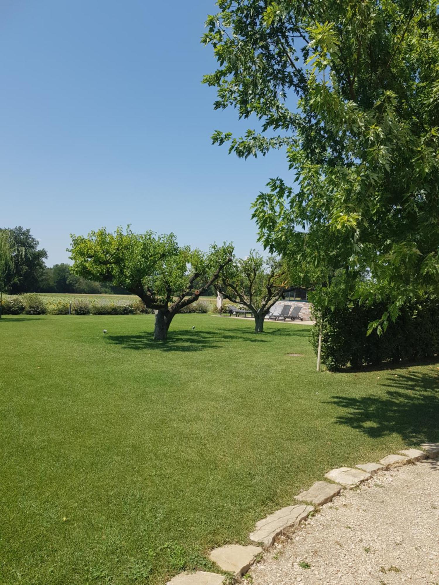 Agriturismo Villa Al Piano Todi Buitenkant foto