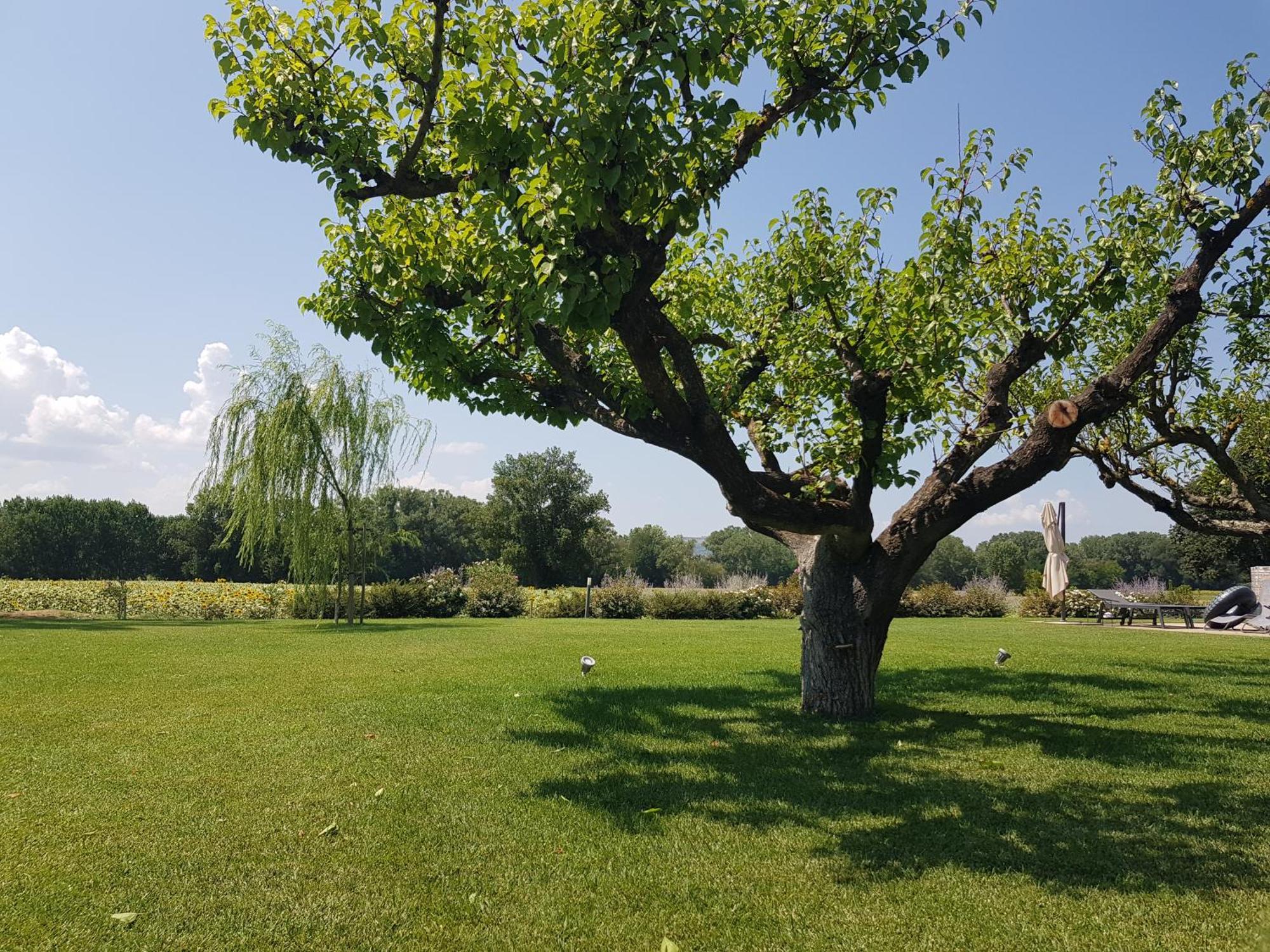 Agriturismo Villa Al Piano Todi Buitenkant foto