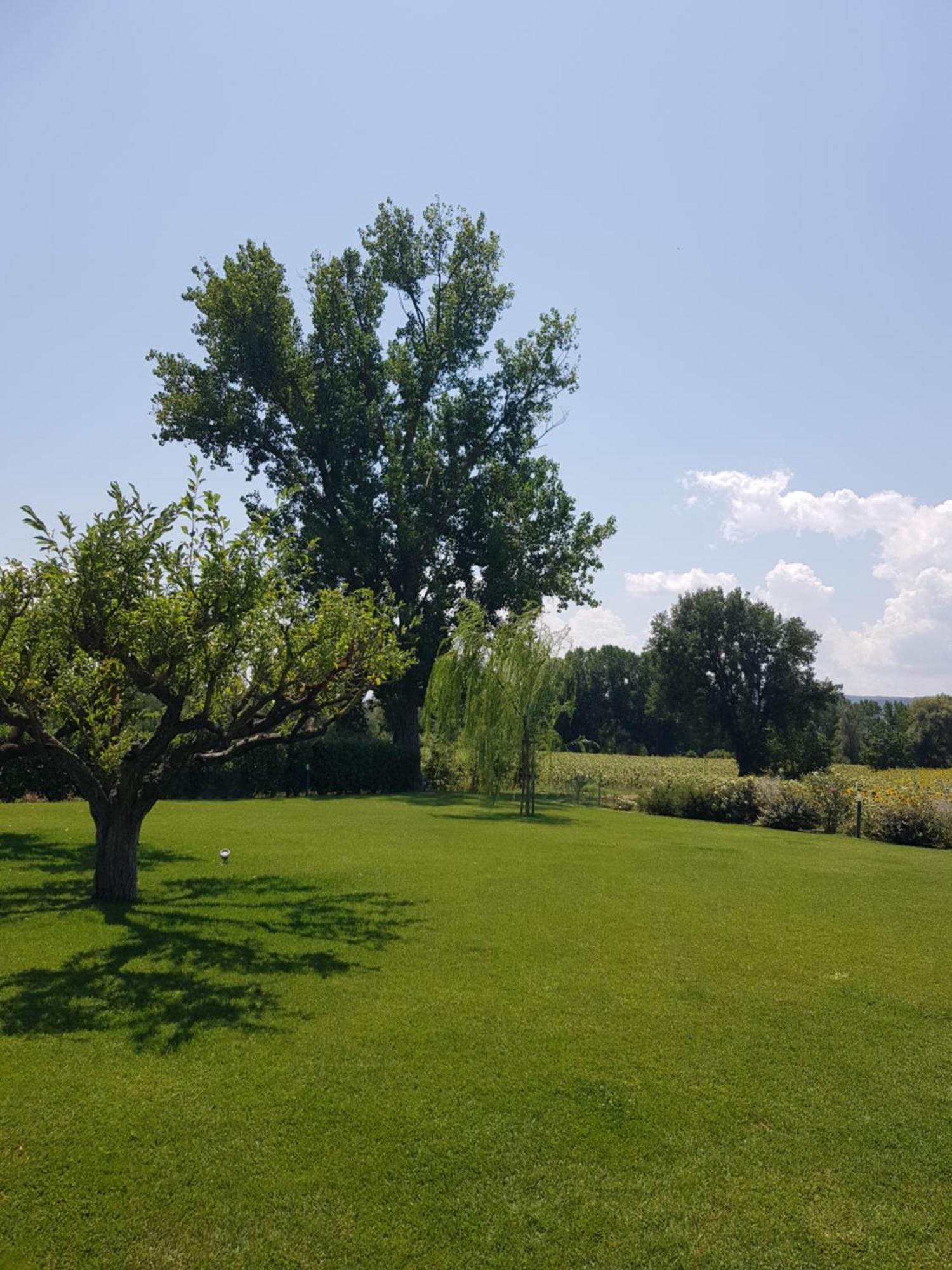 Agriturismo Villa Al Piano Todi Buitenkant foto